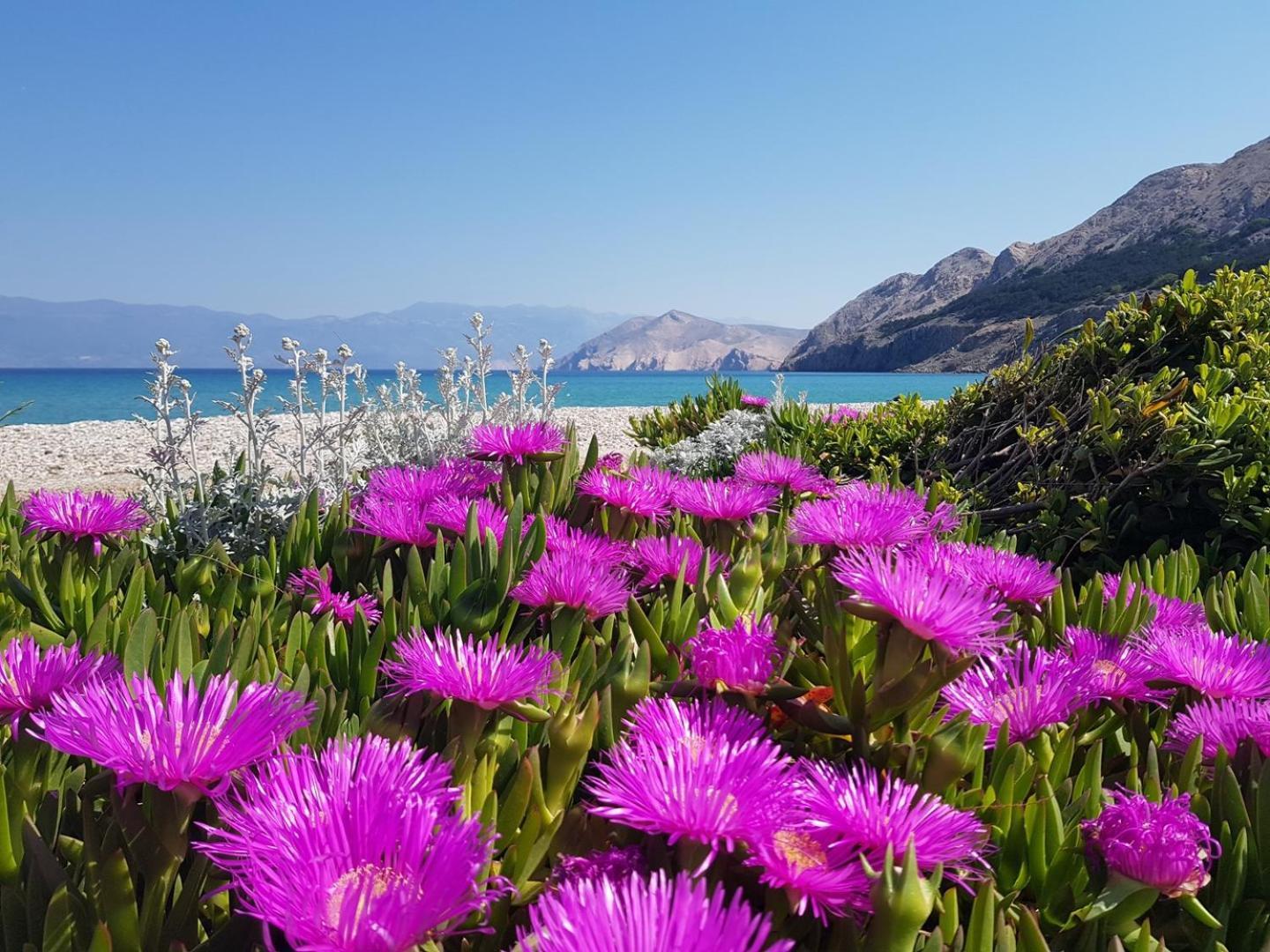 Apartments Lovincic Baška Esterno foto